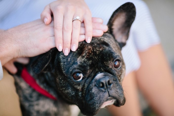 engagement photos vancouver false creek
