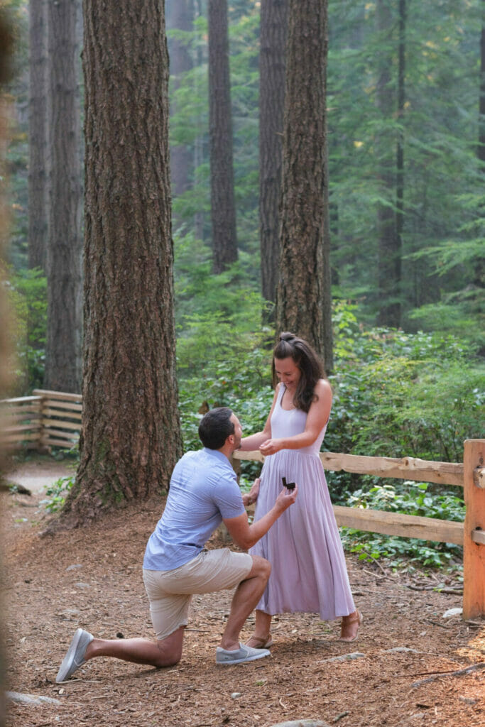 surprise proposal photos in vancouver's pacific spirit park